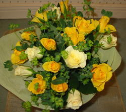 ����ԁ@���ԉԑ�/�C�G���[���[�Y�u�[�P